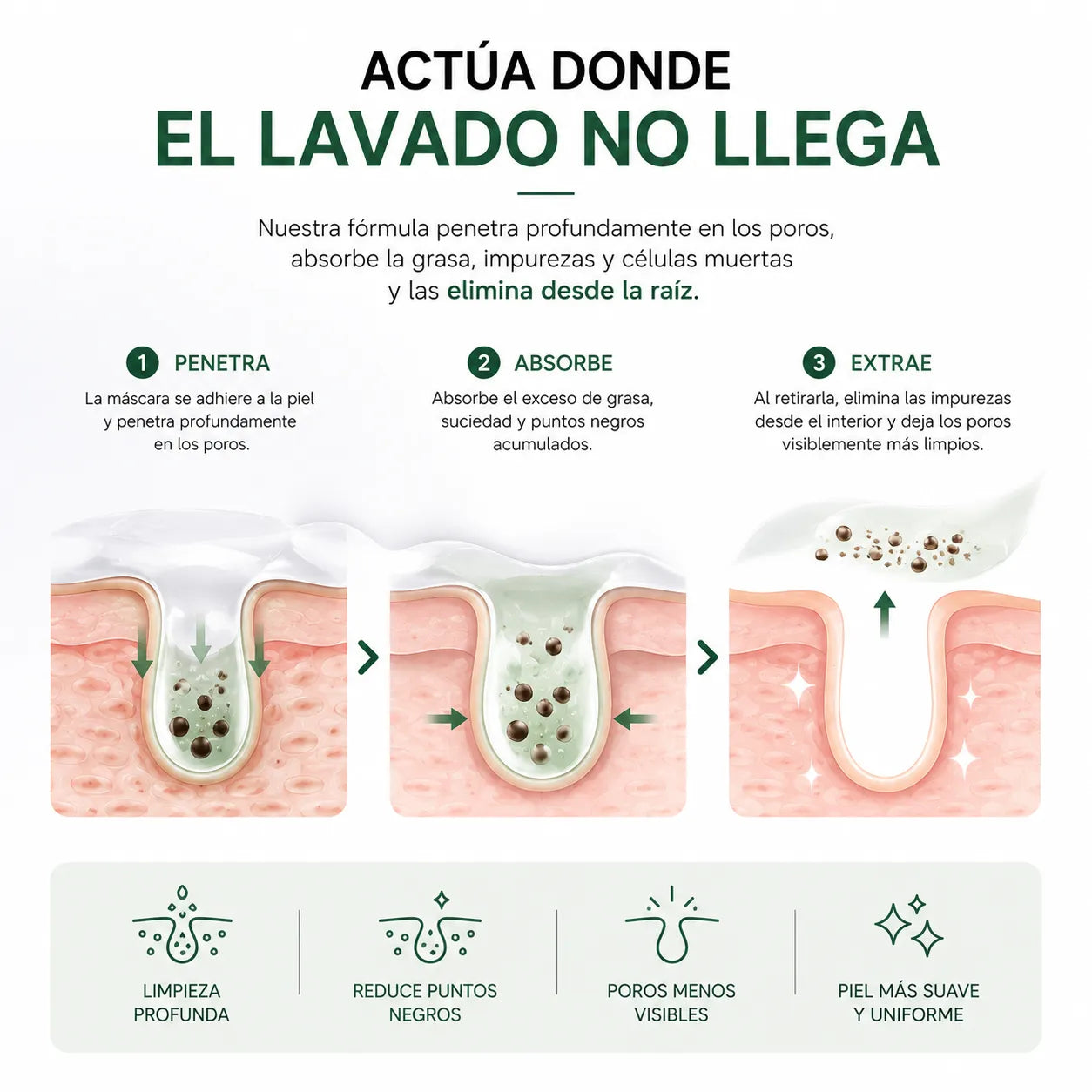 Lanbena + 60 tiras